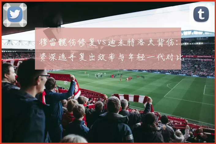 穆雷髋伤修复vs迪米特洛夫背伤：资深选手复出效率与年轻一代对比